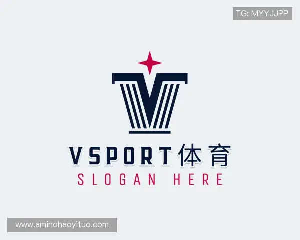介绍vsport体育